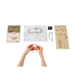 Bouwpakket 3D Houten Puzzel | Cruise Ship