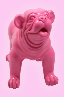 Bulldog Fuchsia
