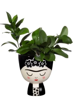 Frida Monochrome Planter