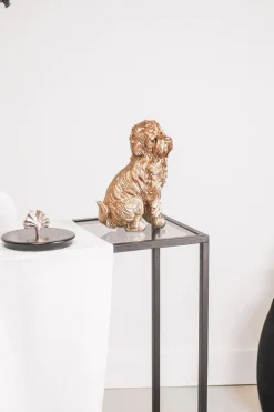 Golden Labradoodle