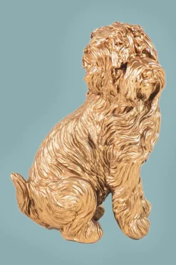 Golden Labradoodle