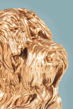 Golden Labradoodle