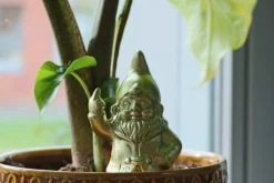 Kabouter F*ck You - Self-Watering Spike White