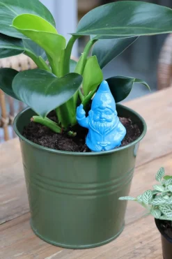 Kabouter F*ck You - Self-Watering Spike White