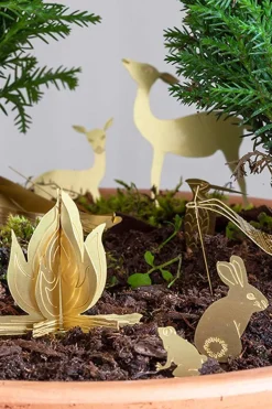 Kleine camping voor je Planten