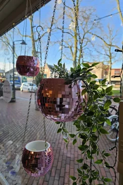 Plantenbak Discobal Rose met waterreservoir - 15 cm