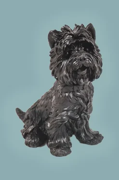 Terrier Dog Black