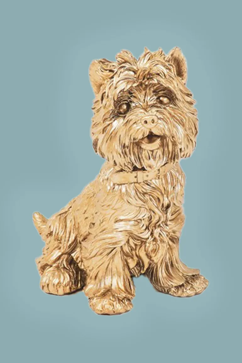 Terrier Dog Gold