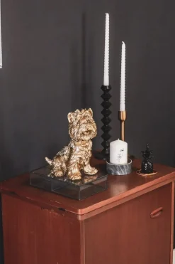 Terrier Dog Gold