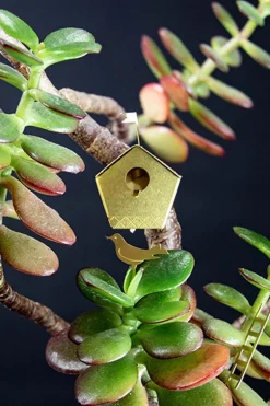 Tiny Birdhouse