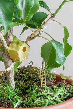 Tiny Birdhouse
